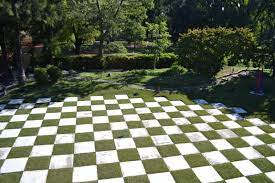checkered lawn with paving slabs